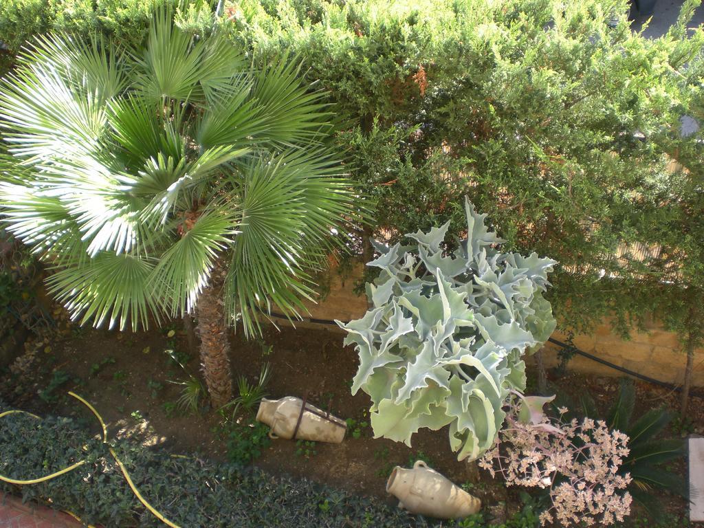 Bouganville 圣莱昂 外观 照片